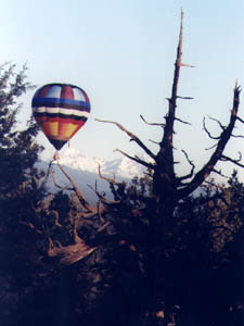 Balloons Over the Junipers