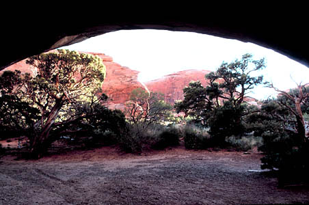 Utah Desert