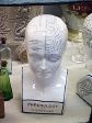 image/_c-phrenology.jpg, 3.6K