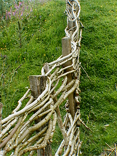 Iron Age village, Castell Henlyss, Wales